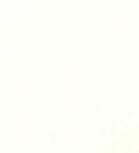 White RAL 9010 PX47849-116801
